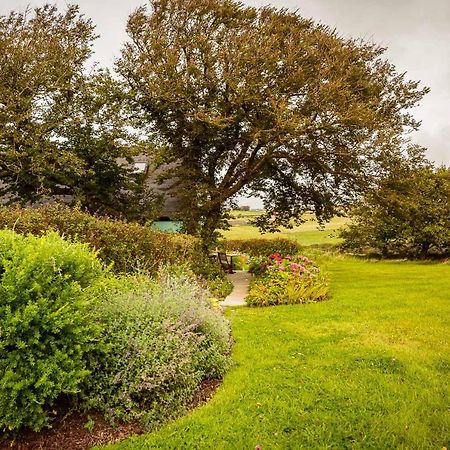 The Wild Atlantic Hideaway Apartment Клонакилти Екстериор снимка