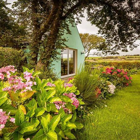 The Wild Atlantic Hideaway Apartment Клонакилти Екстериор снимка