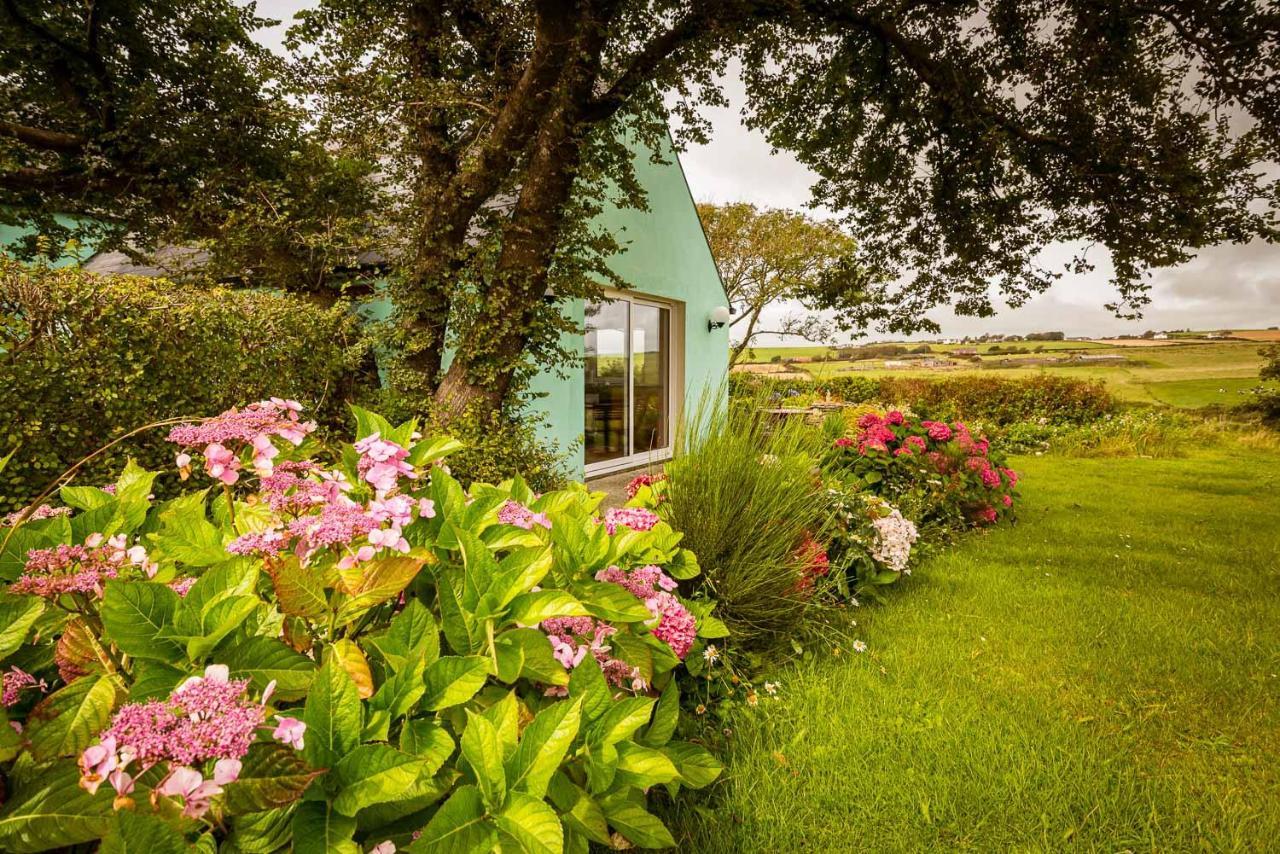 The Wild Atlantic Hideaway Apartment Клонакилти Екстериор снимка